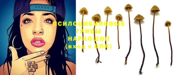 спайс Богданович