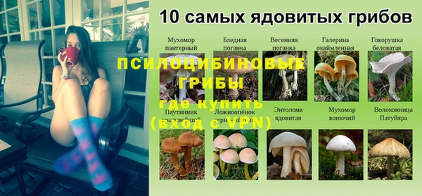 скорость mdpv Бородино