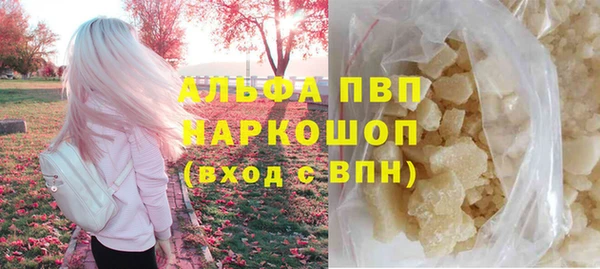 спайс Богданович