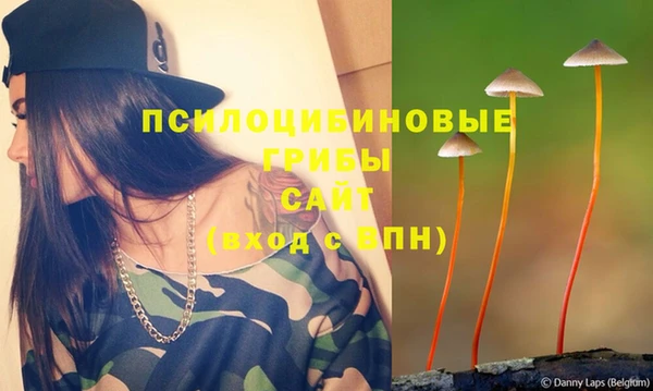 COCAINE Богородицк