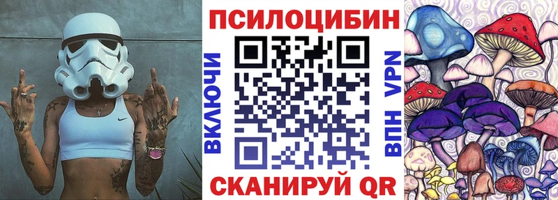 Купить закладки  Северобайкальск  Галлюциногенные грибы мухоморы 
